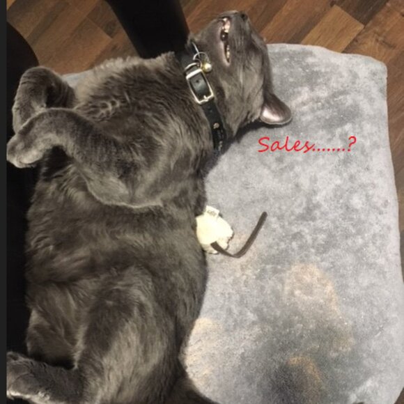 Meet your Posher, Elvaerwyn! - Picture 1 of 15